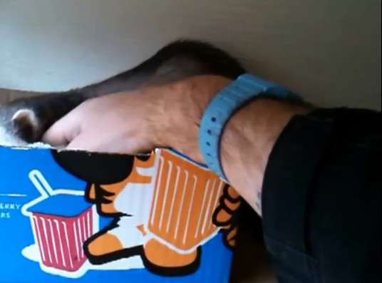 %e9%9b%aa%e8%b2%82%e5%aa%bd%e5%aa%bd%e7%94%9f%e4%b8%8b%e4%b8%80%e7%aa%a9%e8%b6%85%e8%90%8c%e5%af%b6%e5%af%b6%e3%80%80%e8%88%88%e5%a5%ae%e5%92%ac%e4%bd%8f%e4%b8%bb%e4%ba%ba%e9%82%80%e4%bb%96%e4%b8%80