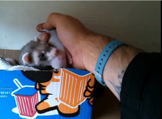 %e9%9b%aa%e8%b2%82%e5%aa%bd%e5%aa%bd%e7%94%9f%e4%b8%8b%e4%b8%80%e7%aa%a9%e8%b6%85%e8%90%8c%e5%af%b6%e5%af%b6%e3%80%80%e8%88%88%e5%a5%ae%e5%92%ac%e4%bd%8f%e4%b8%bb%e4%ba%ba%e9%82%80%e4%bb%96%e4%b8%80