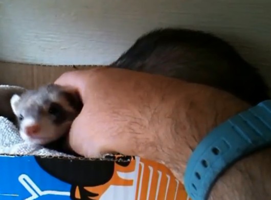 %e9%9b%aa%e8%b2%82%e5%aa%bd%e5%aa%bd%e7%94%9f%e4%b8%8b%e4%b8%80%e7%aa%a9%e8%b6%85%e8%90%8c%e5%af%b6%e5%af%b6%e3%80%80%e8%88%88%e5%a5%ae%e5%92%ac%e4%bd%8f%e4%b8%bb%e4%ba%ba%e9%82%80%e4%bb%96%e4%b8%80