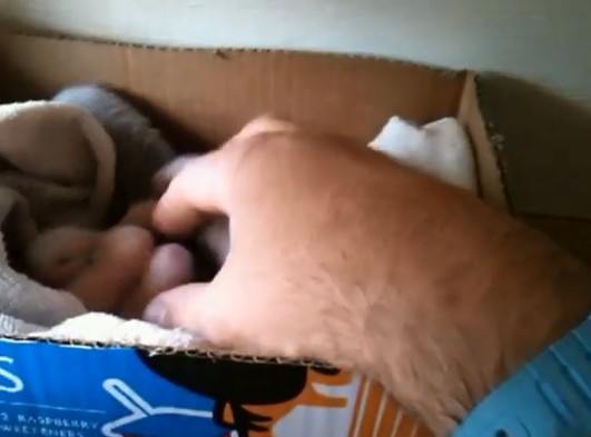 %e9%9b%aa%e8%b2%82%e5%aa%bd%e5%aa%bd%e7%94%9f%e4%b8%8b%e4%b8%80%e7%aa%a9%e8%b6%85%e8%90%8c%e5%af%b6%e5%af%b6%e3%80%80%e8%88%88%e5%a5%ae%e5%92%ac%e4%bd%8f%e4%b8%bb%e4%ba%ba%e9%82%80%e4%bb%96%e4%b8%80