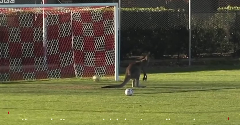 %e8%a2%8b%e9%bc%a0%e5%ae%88%e9%96%80%e5%93%a1