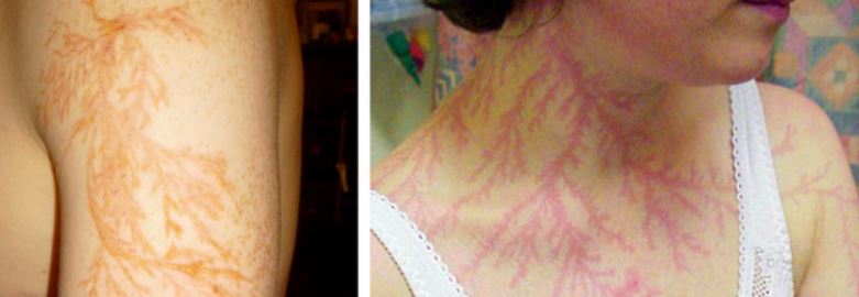 %e4%b8%96%e7%95%8c%e7%9f%a5%e8%ad%98