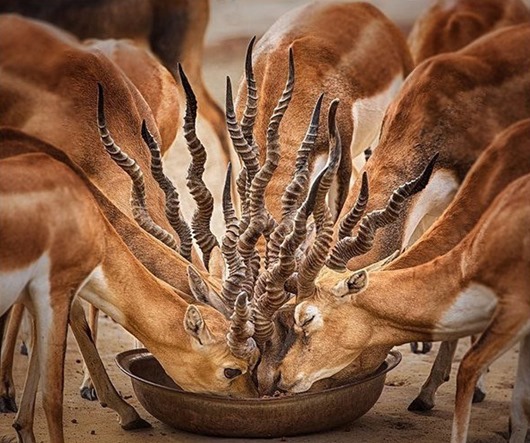 %e9%a9%9a%e5%a5%87%e7%85%a7-4