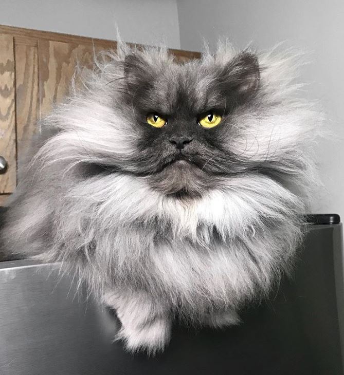 %e6%ad%a3%e8%83%bd%e9%87%8f%e7%85%a7