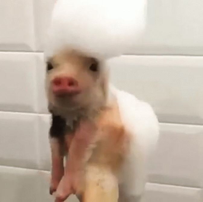 %e6%ad%a3%e8%83%bd%e9%87%8f%e7%85%a7