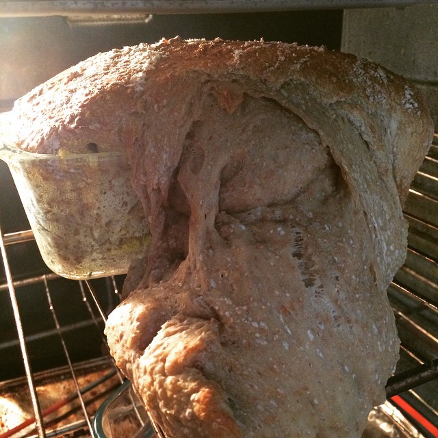 %e5%bb%9a%e6%88%bf%e7%a0%b4%e5%a3%9e%e8%80%85