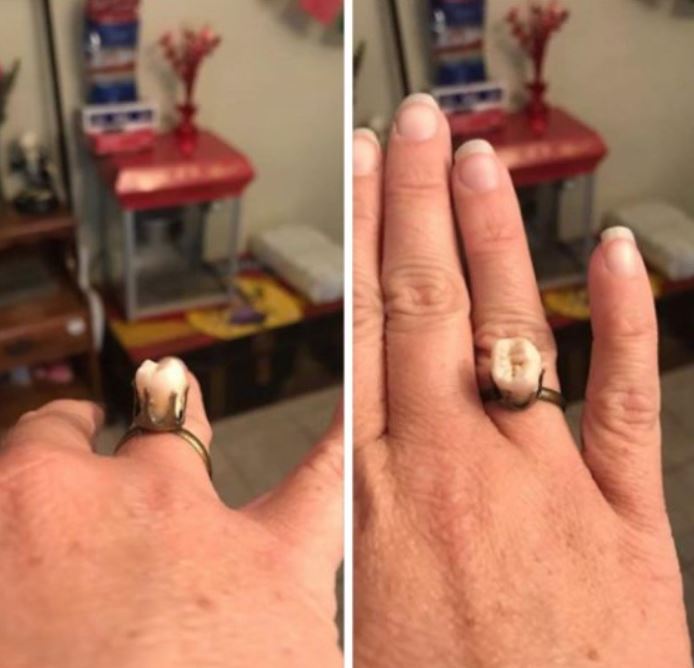 %e8%b6%85%e5%bb%a2diy