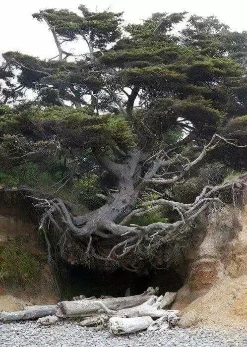 20個「探險家花一生也未必能看到」的世界震撼奇觀 從太空看到的極光!% 照片 20個「探險家花一生也未必能看到」的世界震撼奇觀 從太空看到的極光!