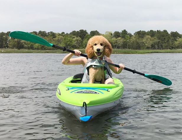 %e9%a9%9a%e4%ba%ba%e5%b7%a7%e5%90%88%e7%85%a7