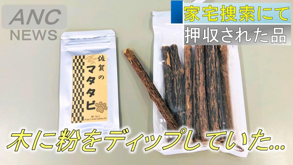 喵課長因為「防止干擾條例」被逮補!證人:我講電話,牠一直喵% 照片 喵課長因為「防止干擾條例」被逮補!證人:我講電話,牠一直喵