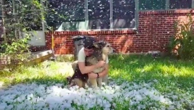 狗狗喜欢下雪