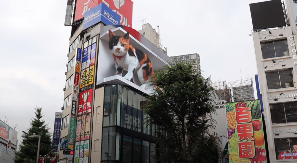 东京3D巨猫